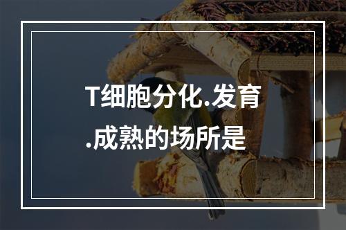 T细胞分化.发育.成熟的场所是