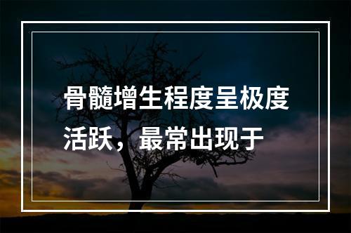 骨髓增生程度呈极度活跃，最常出现于