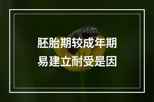 胚胎期较成年期易建立耐受是因