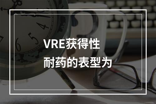 VRE获得性耐药的表型为