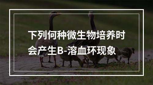 下列何种微生物培养时会产生B-溶血环现象