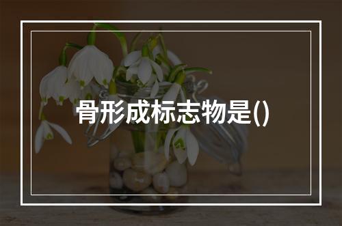 骨形成标志物是()