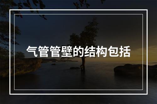 气管管壁的结构包括