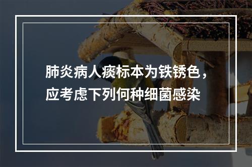 肺炎病人痰标本为铁锈色，应考虑下列何种细菌感染