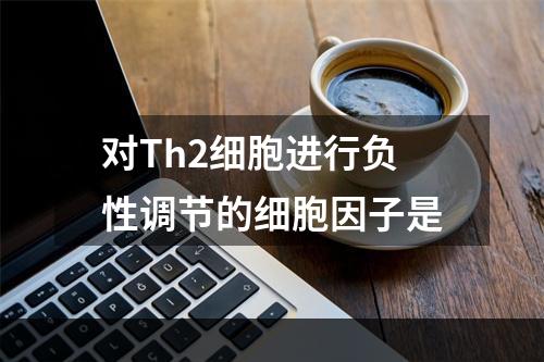 对Th2细胞进行负性调节的细胞因子是