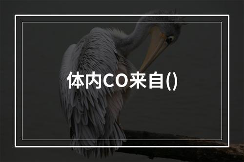 体内CO来自()