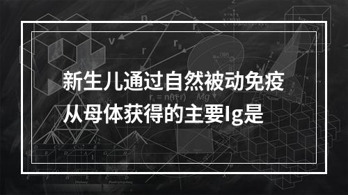 新生儿通过自然被动免疫从母体获得的主要Ig是