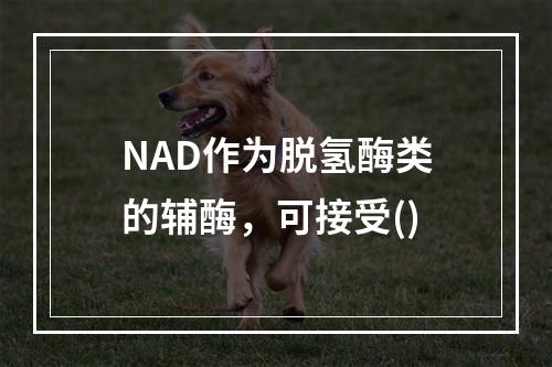 NAD作为脱氢酶类的辅酶，可接受()