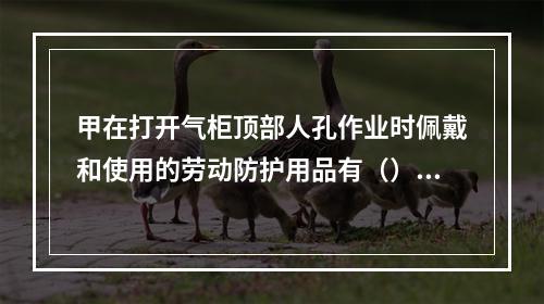 甲在打开气柜顶部人孔作业时佩戴和使用的劳动防护用品有（）。