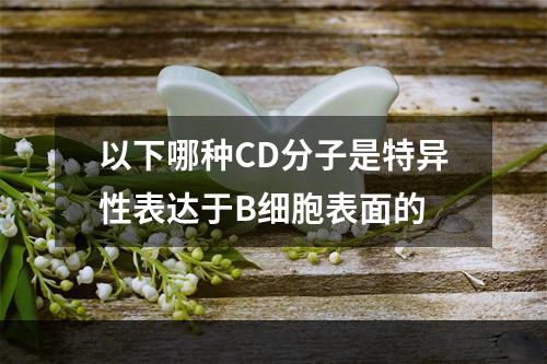 以下哪种CD分子是特异性表达于B细胞表面的