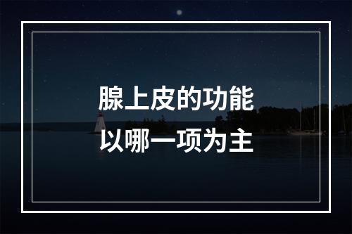 腺上皮的功能以哪一项为主