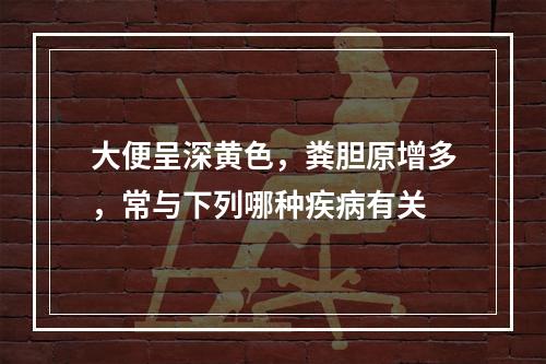 大便呈深黄色，粪胆原增多，常与下列哪种疾病有关