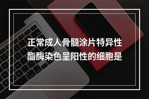 正常成人骨髓涂片特异性酯酶染色呈阳性的细胞是