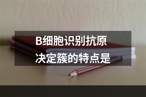 B细胞识别抗原决定簇的特点是