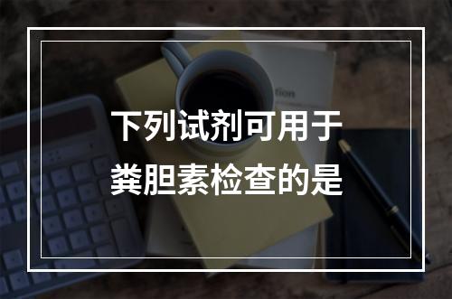 下列试剂可用于粪胆素检查的是