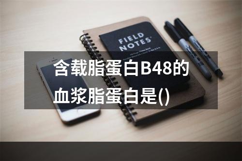 含载脂蛋白B48的血浆脂蛋白是()