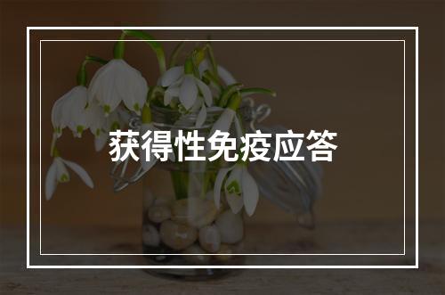 获得性免疫应答