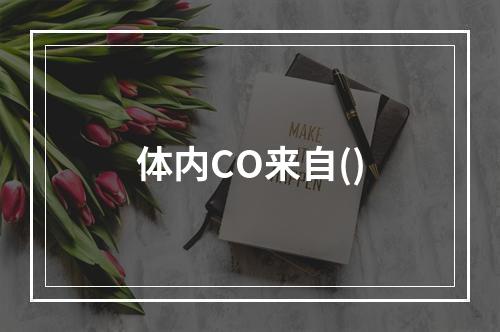 体内CO来自()