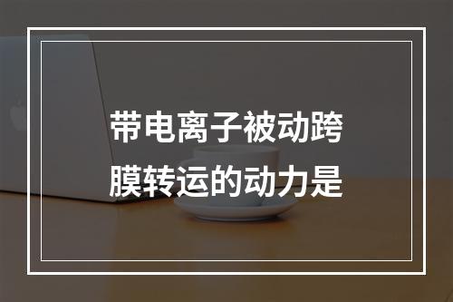 带电离子被动跨膜转运的动力是