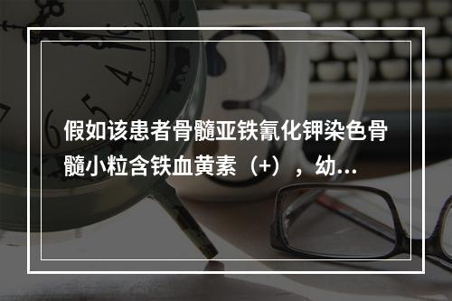 假如该患者骨髓亚铁氰化钾染色骨髓小粒含铁血黄素（+），幼红细