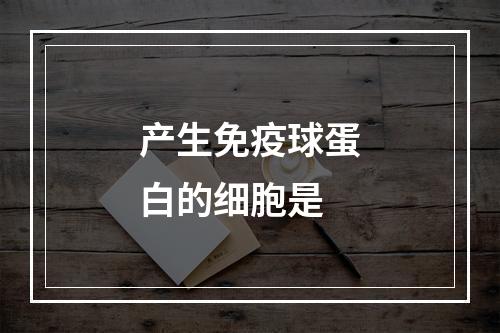 产生免疫球蛋白的细胞是