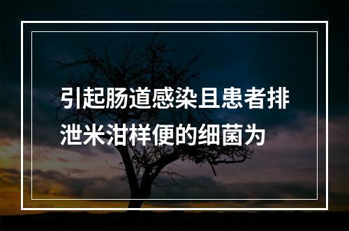 引起肠道感染且患者排泄米泔样便的细菌为