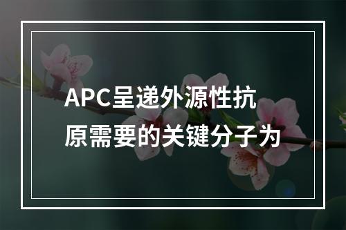 APC呈递外源性抗原需要的关键分子为