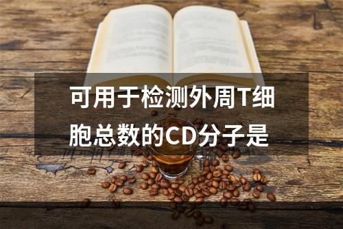 可用于检测外周T细胞总数的CD分子是