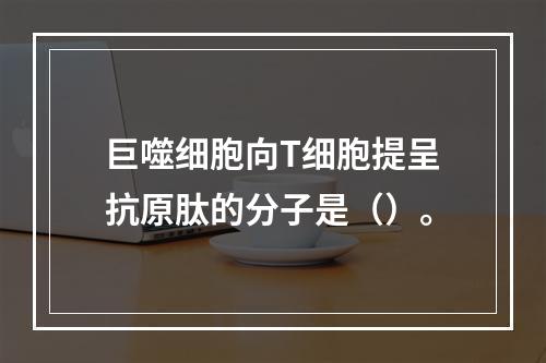 巨噬细胞向T细胞提呈抗原肽的分子是（）。