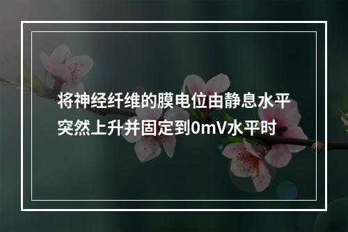 将神经纤维的膜电位由静息水平突然上升并固定到0mV水平时