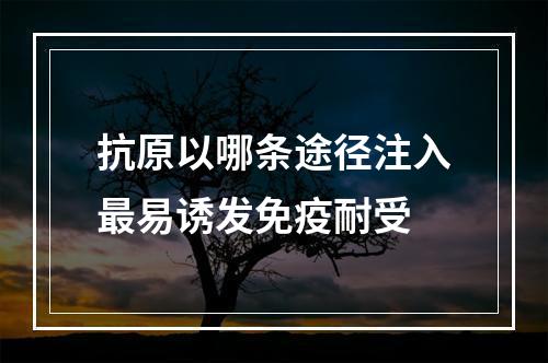 抗原以哪条途径注入最易诱发免疫耐受