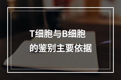 T细胞与B细胞的鉴别主要依据