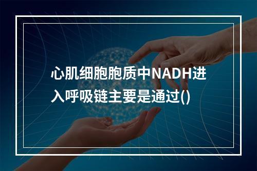 心肌细胞胞质中NADH进入呼吸链主要是通过()