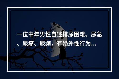 一位中年男性自述排尿困难、尿急、尿痛、尿频，有婚外性行为。尿