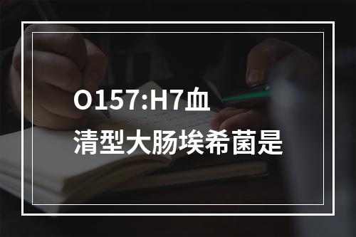 O157:H7血清型大肠埃希菌是