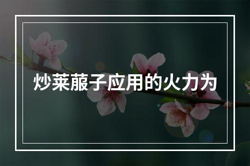 炒莱菔子应用的火力为