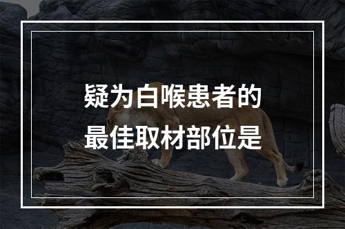 疑为白喉患者的最佳取材部位是