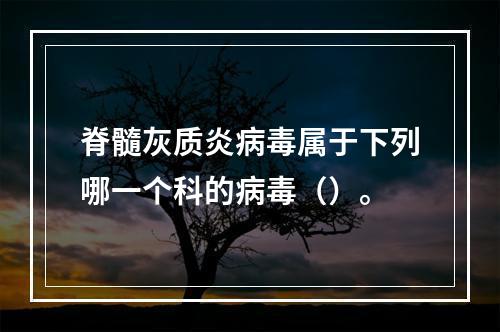 脊髓灰质炎病毒属于下列哪一个科的病毒（）。