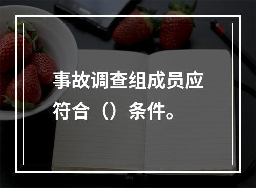 事故调查组成员应符合（）条件。