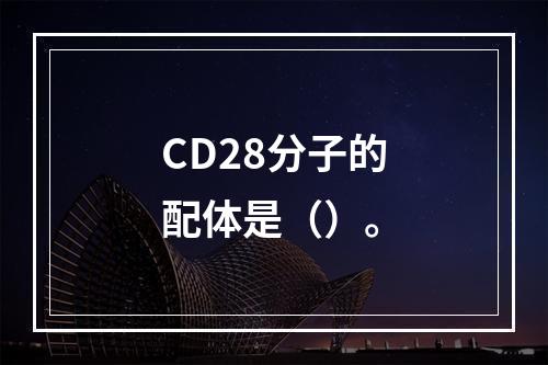 CD28分子的配体是（）。