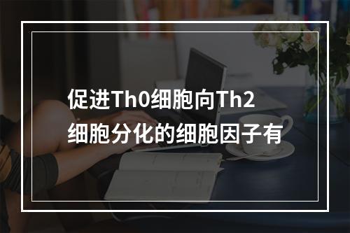 促进Th0细胞向Th2细胞分化的细胞因子有