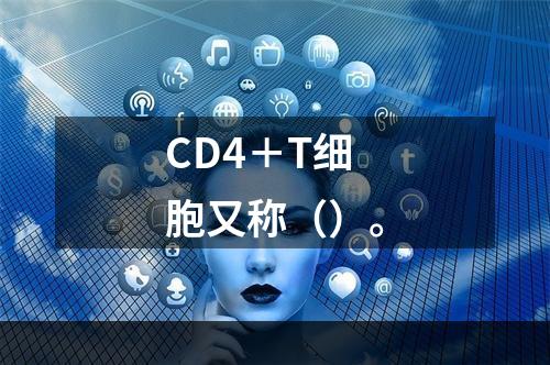 CD4＋T细胞又称（）。