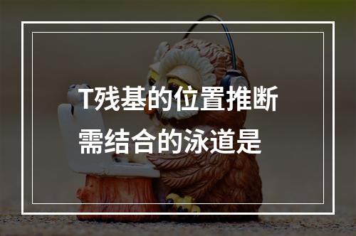 T残基的位置推断需结合的泳道是