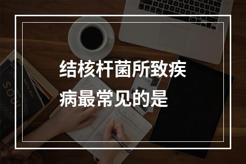 结核杆菌所致疾病最常见的是