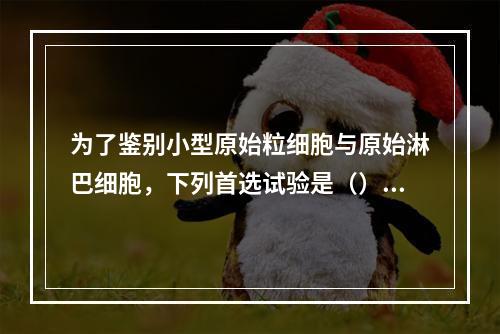 为了鉴别小型原始粒细胞与原始淋巴细胞，下列首选试验是（）。