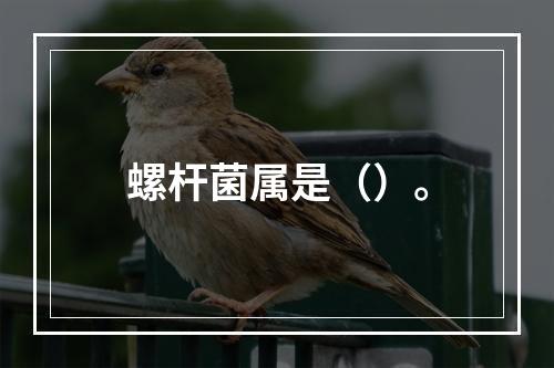 螺杆菌属是（）。