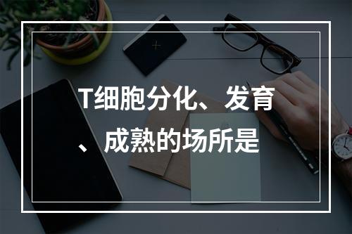 T细胞分化、发育、成熟的场所是