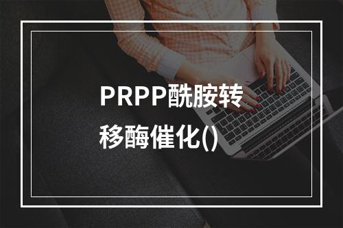 PRPP酰胺转移酶催化()