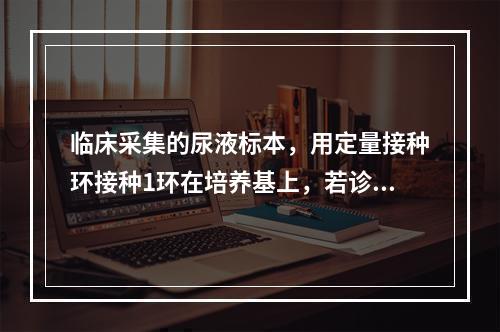 临床采集的尿液标本，用定量接种环接种1环在培养基上，若诊断为