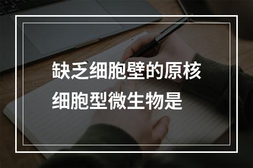 缺乏细胞壁的原核细胞型微生物是